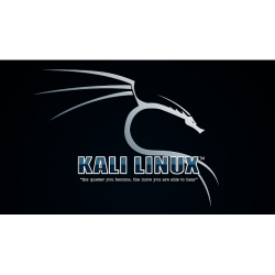 Встановлення Kali Linux