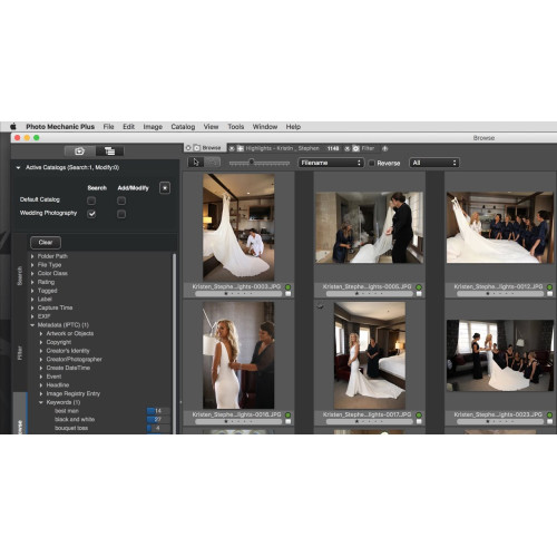 Установка Photo Mechanic